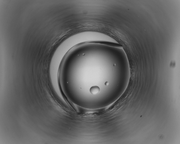 X0000091350456200708171435
