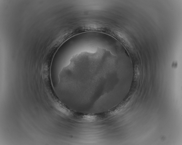 X0000091350457200708171435