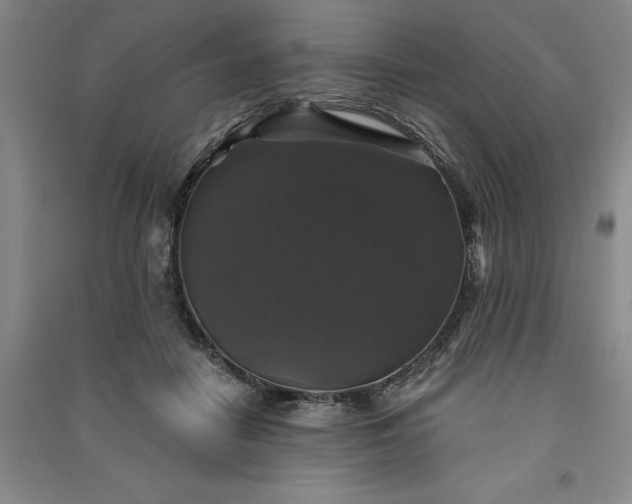 X0000091350458200708171435