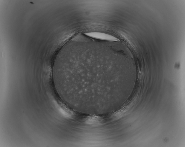 X0000091350459200708171435