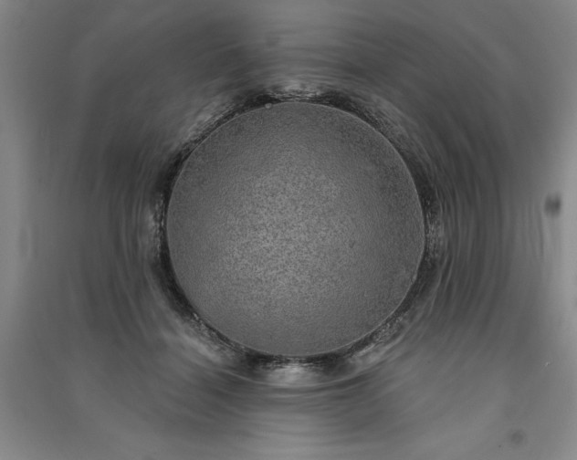 X0000091350460200708171435
