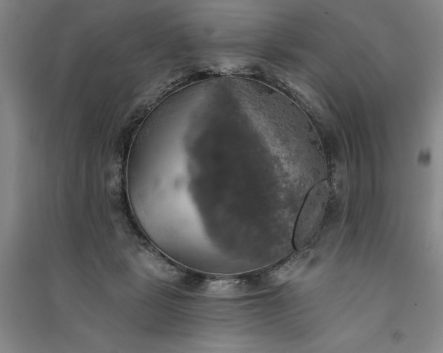 X0000091350461200708171435