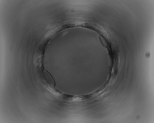 X0000091350462200708171435