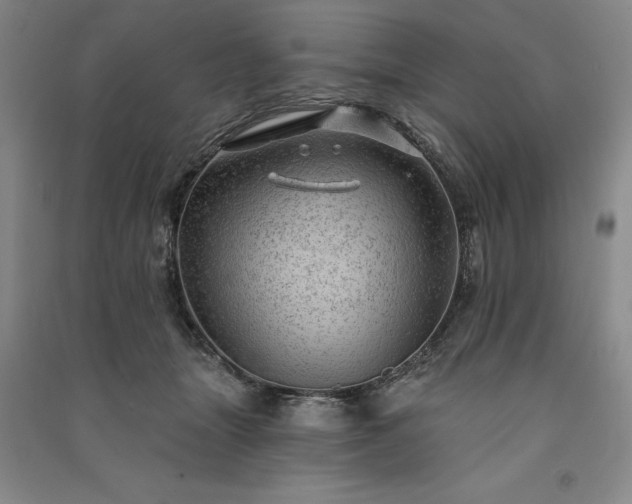 X0000091350463200708171435