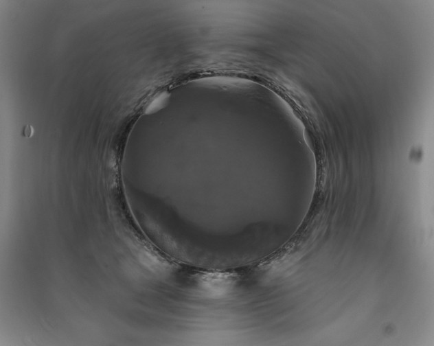 X0000091350465200708171435