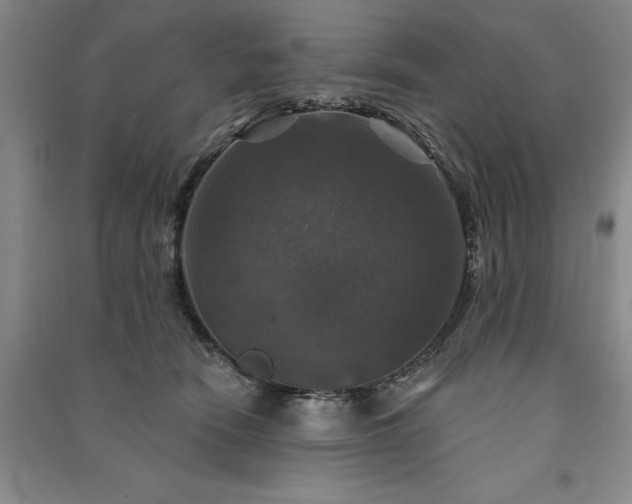 X0000091350466200708171435