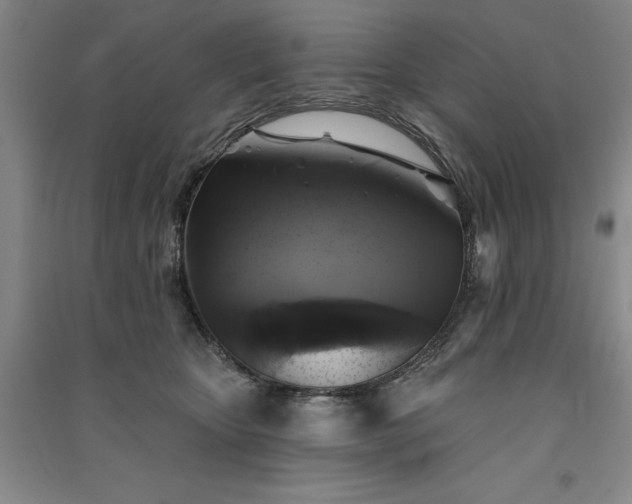 X0000091350467200708171435