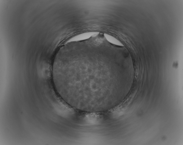 X0000091350470200708171435