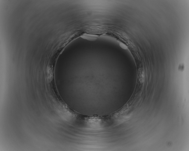 X0000091350471200708171435