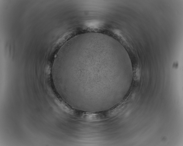 X0000091350472200708171435