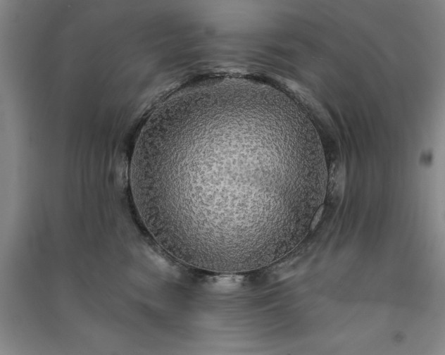 X0000091350474200708171435