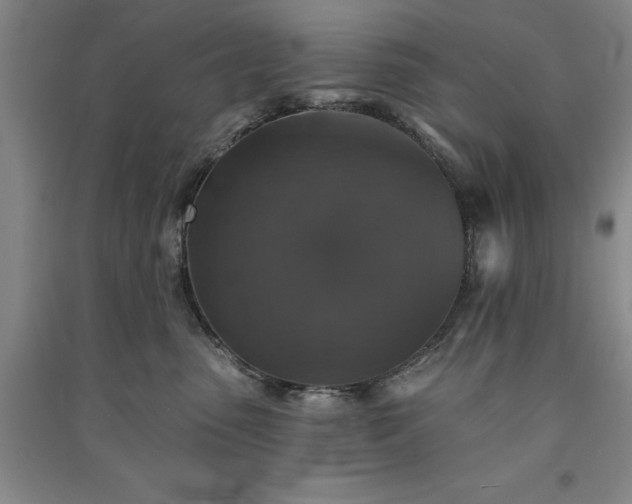 X0000091350475200708171435