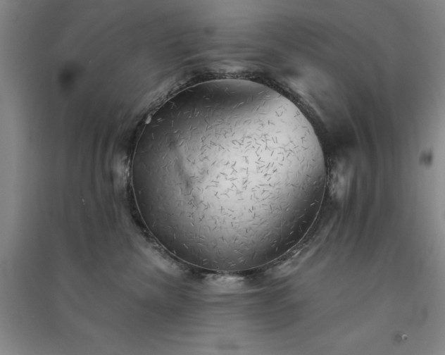 X0000091350476200708171435