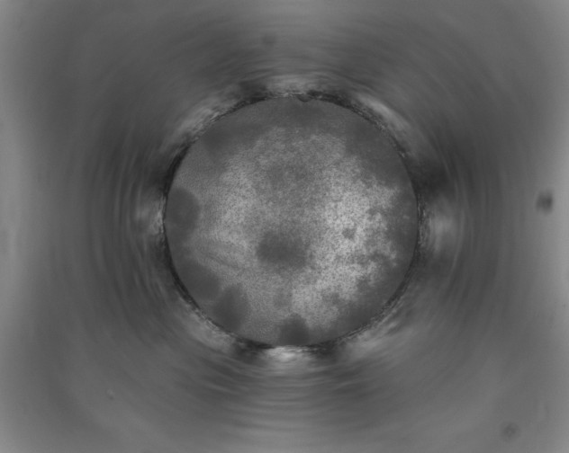 X0000091350477200708171435