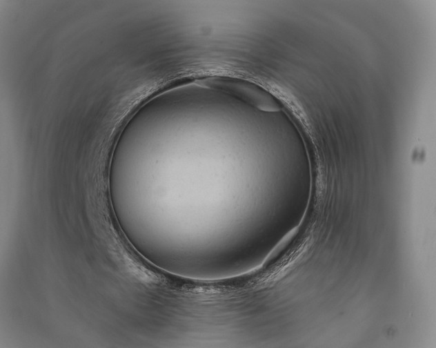 X0000091350481200708171435