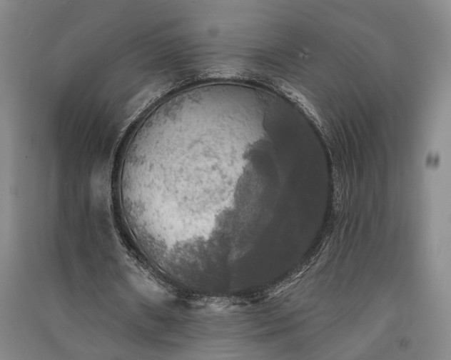 X0000091350482200708171435