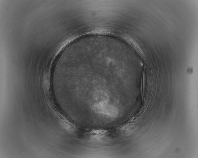 X0000091350484200708171435