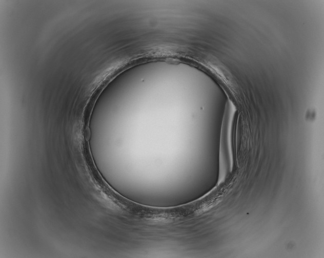 X0000091350485200708171435