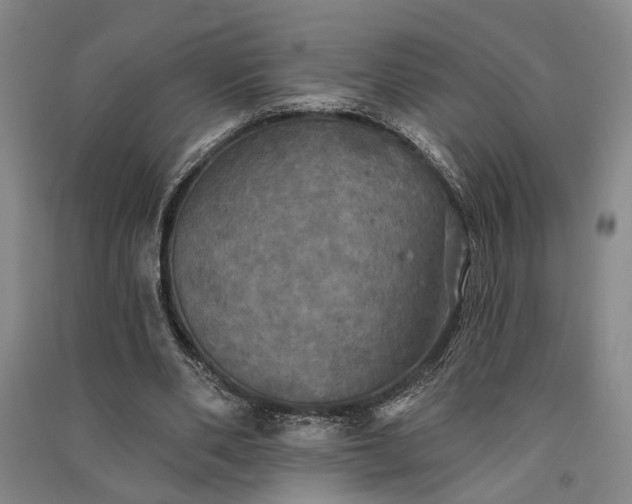 X0000091350486200708171435
