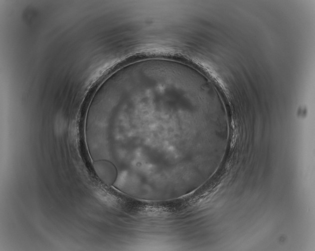X0000091350487200708171435