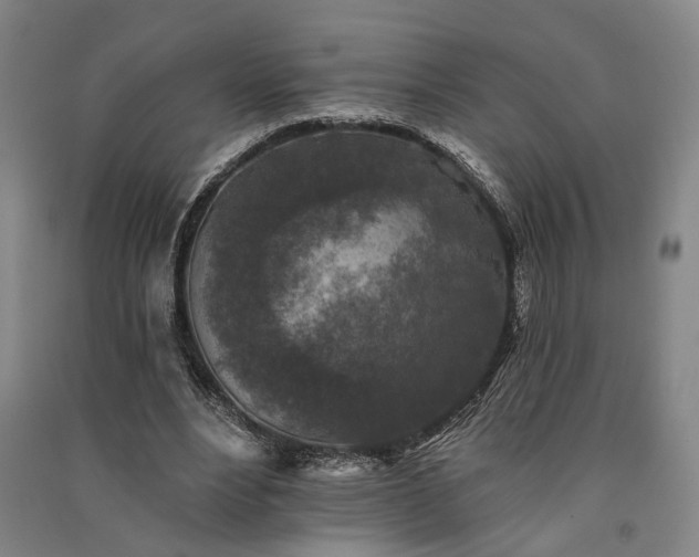 X0000091350488200708171435