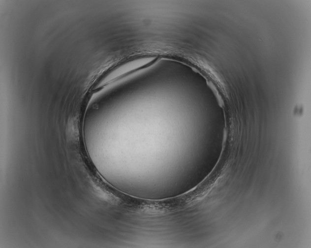 X0000091350489200708171434