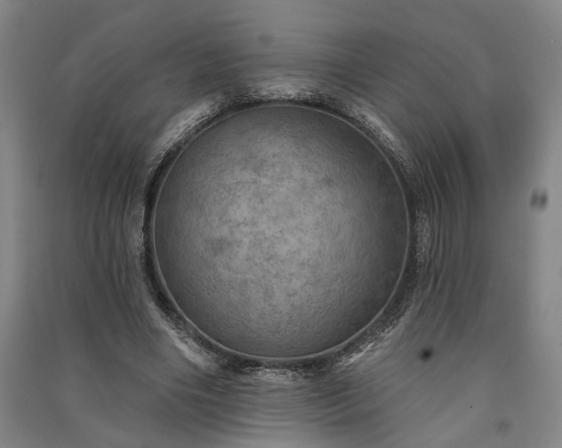 X0000091350490200708171434