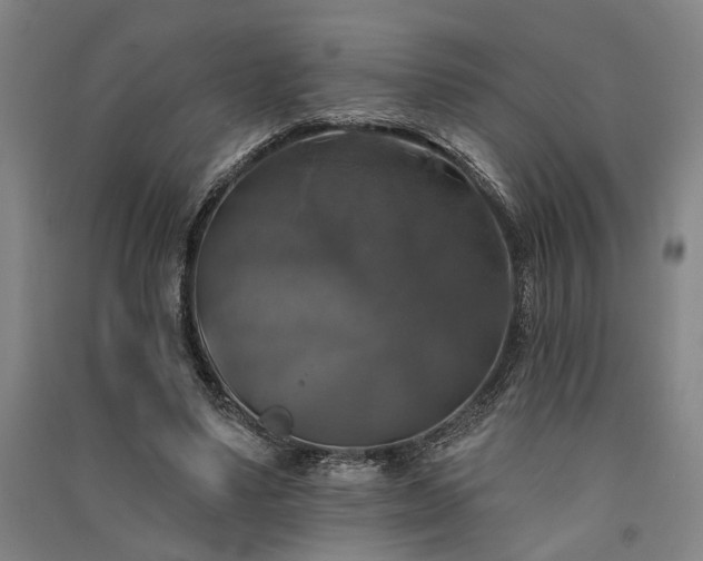 X0000091350491200708171434