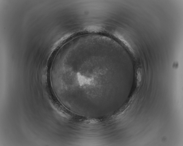 X0000091350492200708171434