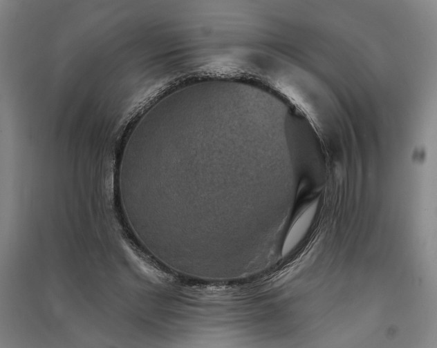 X0000091350493200708171434