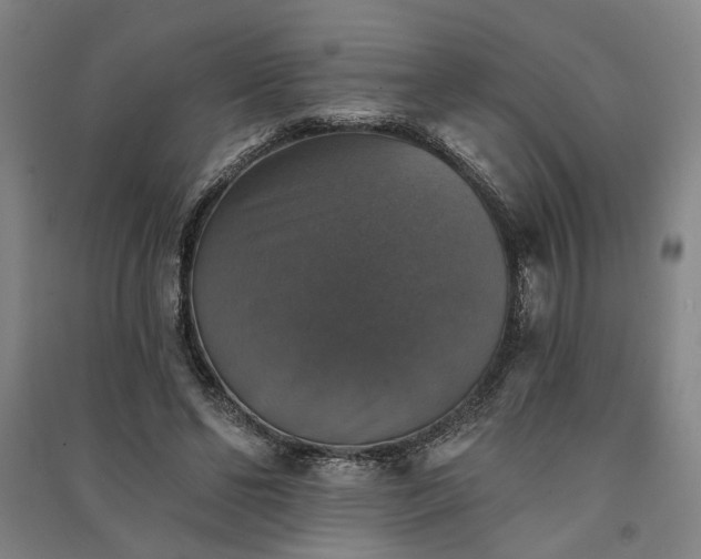 X0000091350494200708171434