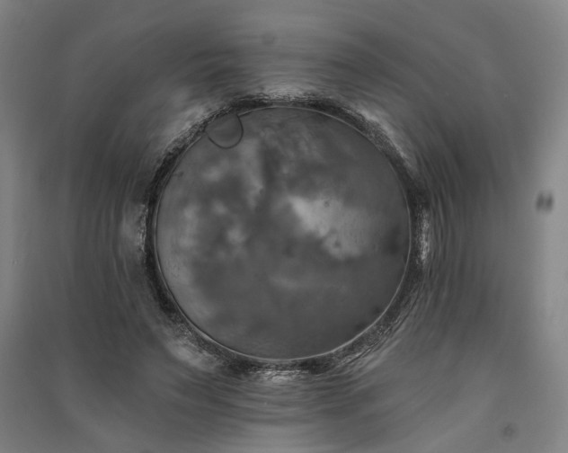 X0000091350495200708171434
