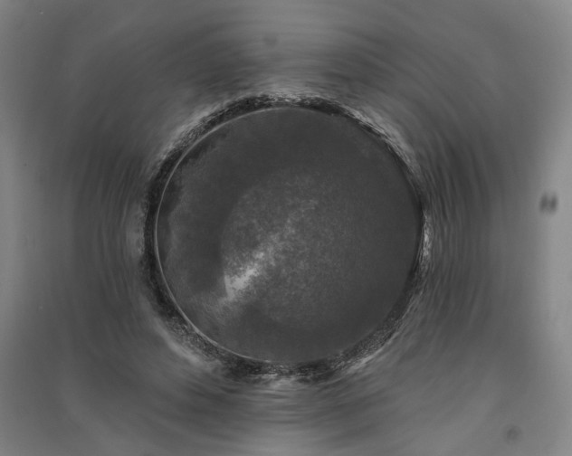 X0000091350496200708171434