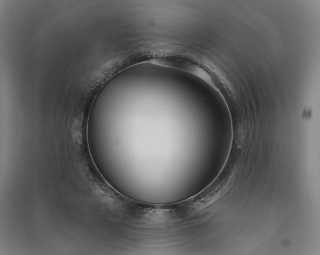 X0000091350497200708171434