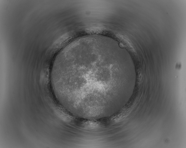 X0000091350498200708171434