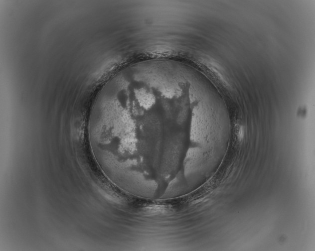 X0000091350499200708171434