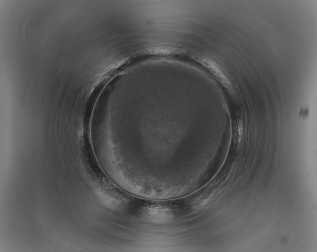 X0000091350500200708171434
