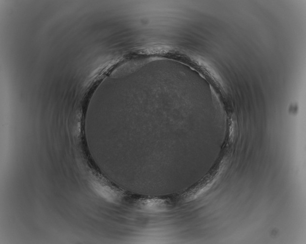X0000091350501200708171434