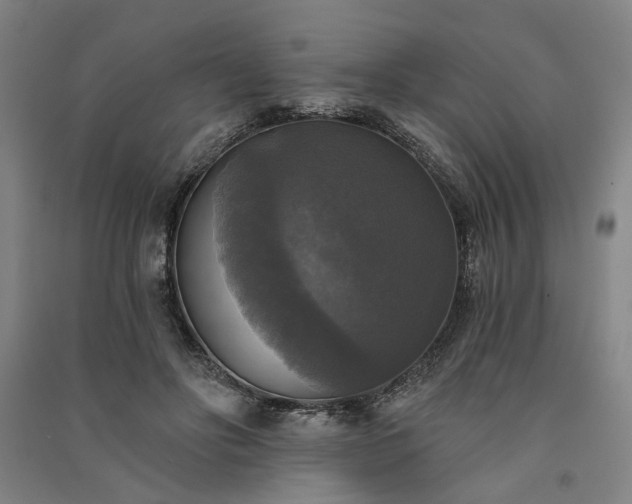 X0000091350502200708171434