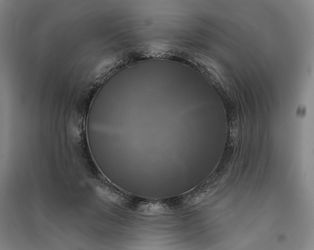 X0000091350503200708171434