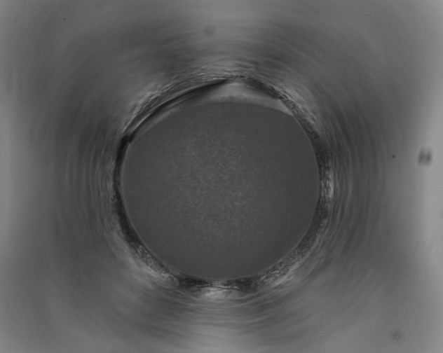 X0000091350504200708171434
