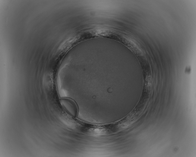 X0000091350506200708171434