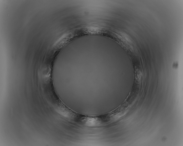 X0000091350507200708171434