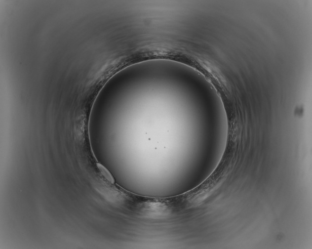 X0000091350509200708171434