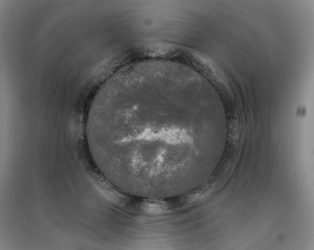 X0000091350510200708171434