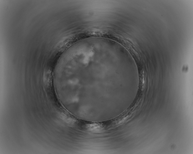X0000091350511200708171434