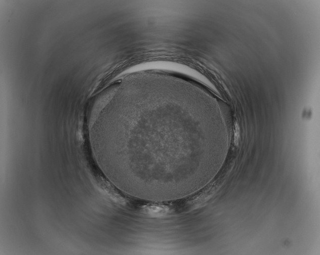 X0000091350512200708171434