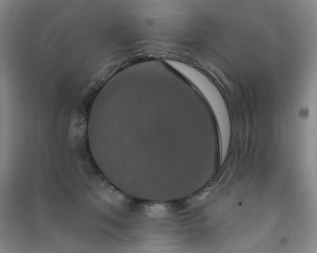 X0000091350513200708171434