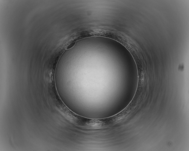 X0000091350514200708171434