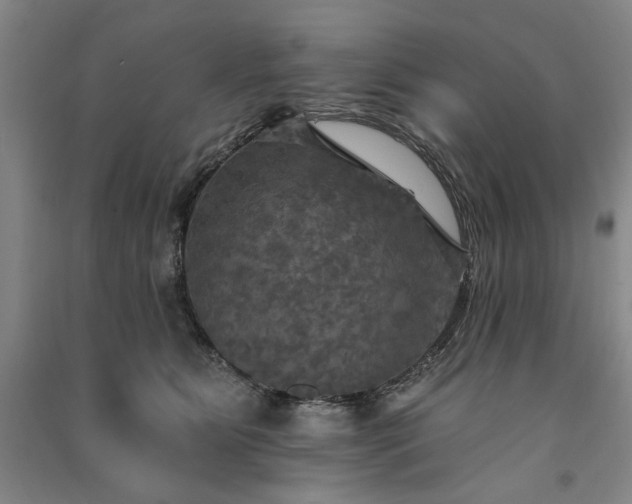 X0000091350515200708171434